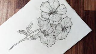 How to draw flowers easy step by step for beginners || flower drawing