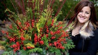 How to Make a Pretty  Winter Container