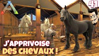 J'APPRIVOISE DES CHEVAUX POUR MON ÉCURIE ! ep41 - ARK THE ISLAND FR - Ark Survival Evolved