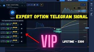 expert option trading VIP telegram signal group 