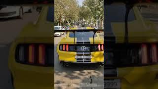 Ford Mustang Crazy Exhaust sound and Burn out  / Supercars in India #supercars #shorts