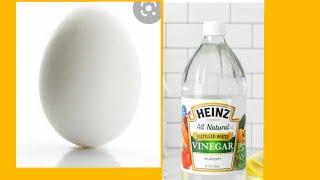 EGG AND VINEGAR EXPERIMENT|AMAZING REACTION|BK EXPERIMENTS