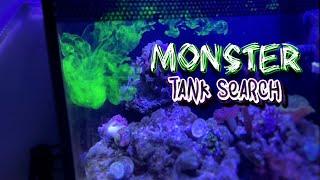 My MONSTER Amazon Fish Tank Upgrade Search - A1A Adventures