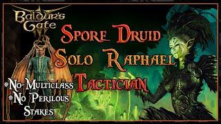 Baldur's Gate 3: Spore Druid solo Raphael (tactician) + Build Preview