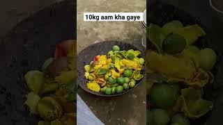 10 kg aam kha gaye hum log