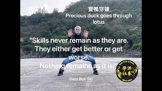 Hung Gar Movements #5 & Gam Bok Yin Thoughts. Hung Kuen Academy Hong Kong