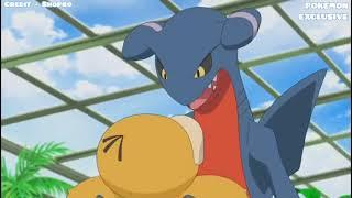 Pokemon gabite evolves into garchomp