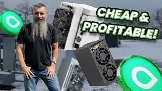 Surprisingly Cheap & Profitable Miners for Passive Income