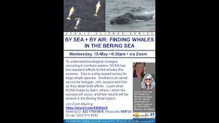 Bering Sea Whales - Strait Science, May 15 2024