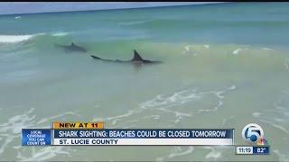 All St. Lucie Co. beaches closed due to sharks