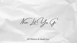 NEVER LET YOU GO (Offical Audio) | AP Dhillon & Omah Lay | Steel Banglez |