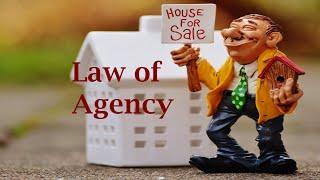 The law of agency in company law