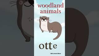 Animal Adventures: Learning about Woodland Giants! An Educational Journey - Little Learners Library