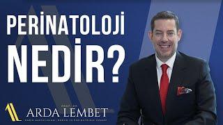 Perinatoloji Nedir? | Prof. Dr. Arda Lembet