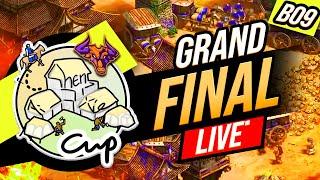 GRAND FINAL #$20,000 ShenAiXie CUP 1v1