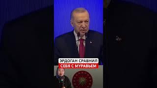 Erdogan compared himself to an ant!