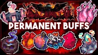 EVERY Permanent Buff in the Calamity Mod