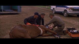 Dreamer: Inspired by a True Story - Injured Horse (HD)