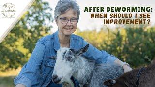 After deworming: When will my goat be better?