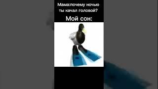 Утка крутится мем #shorts #мемы #рекомендации #тренды #мем