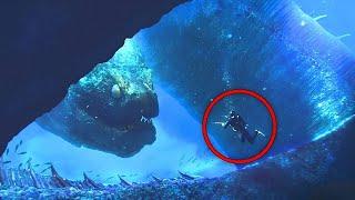 Diver Captured What No One Was Supposed to See