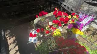 Красивый памятник на могиле актёра Михаила Пуговкина /  Ваганьковское кладбище 25.07.2023