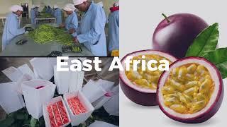 Kenya - EA fresh produce leader