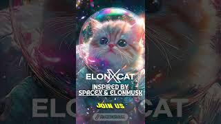 Have a Blast with ElonXCat in the World of Meme Coins  || ELONXMUSK & SPACEX MEME COIN ||