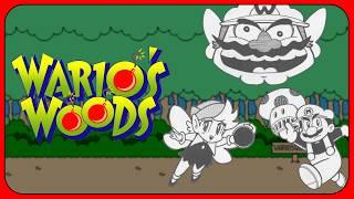 Wario's Woods: The Final NES Game With a Super Crazy Story That Nintendo Approved, I Guess....