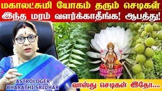 "Top 10 வாஸ்து செடிகள்" | வீட்டில் பணத்தை ஈர்த்து ,அதிஷ்டம் தரும் செடிகள் | Gardening Tips Tamil