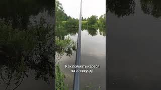 Как поймать карася за 15 секунд