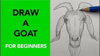 Draw a Goat | Easy step-by-step drawing lesson for beginners