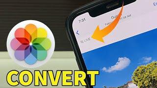How To Convert Live Photos To Normal Photo in iPhone I How To Save iPhone Live Photos as Still Image