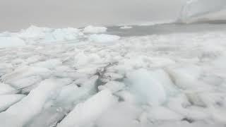 The Sound of cracking Sea ice in Antarctica | Antarctica Science at the Rothera Research Station