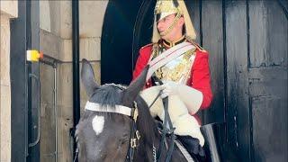 King’s horse keep SNIFFING and a LOUD FART Multiple times, tourist non STOP LAUGHING 