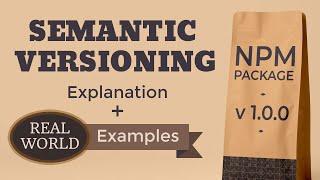Understanding Semantic Versioning with Real World Examples