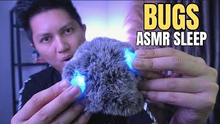 ASMR BUGSFor Relaxing Brain 