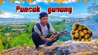 Survival Ikan bakar & buah digunung!!!!