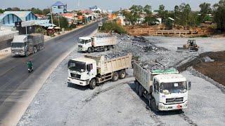 Deleting Puddle Processing 100% With Powerful Bulldozer , A lot of SACHMAN Heavy Dump Trucks