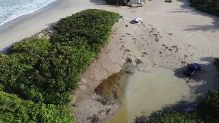 St. Lucie County Volunteer Planting at Walton Rocks Beach