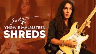 Yngwie Malmsteen SHREDS on His NEW MXR Signature Overdrive Pedal!