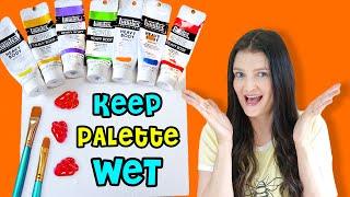 How to Keep Acrylic Paint from Drying Too Fast  Wet Palette Tips