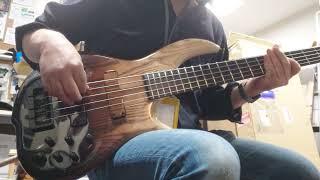 F BASS BN5 Brown Fade DEMO