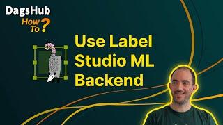 Automate the labeling process with Label Studio and DagsHub