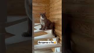 Такая счастливая встреча! Пума Месси ждёт Сашу️