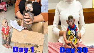 Abandoned baby monkey Nana adoption process! - Family Mo & Na