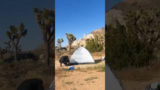 #campingday #joshuatree #shorts #shortsvideo