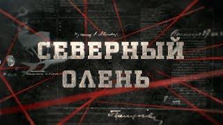 Северный олень | Вещдок