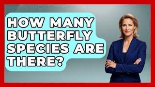 How Many Butterfly Species Are There? - Biology For Everyone