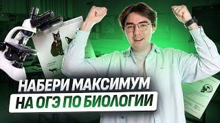 Как набрать максимум за ОГЭ по биологии? I Лайфхаки от экспертов | Умскул